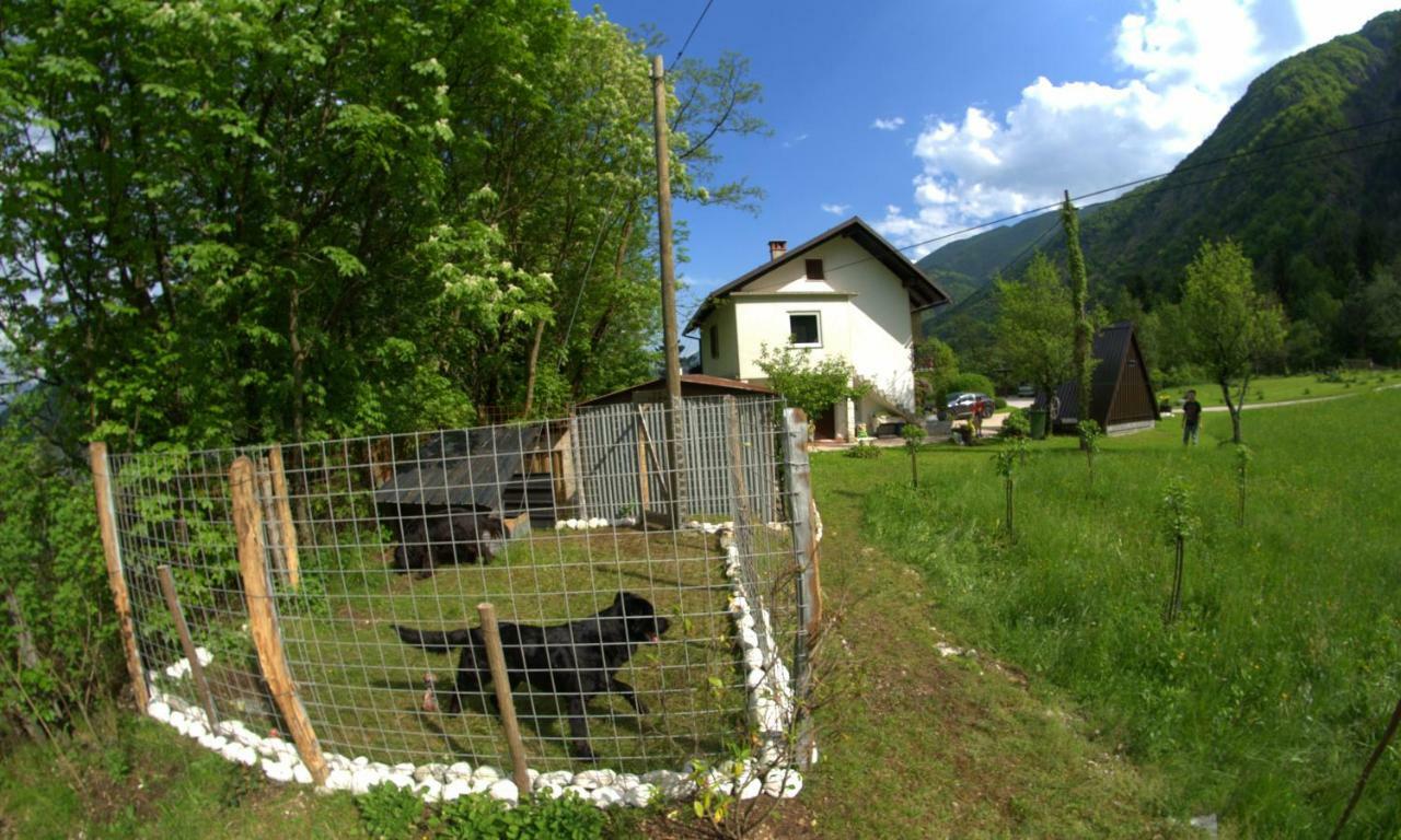 Apartma Bel Zaga Dış mekan fotoğraf