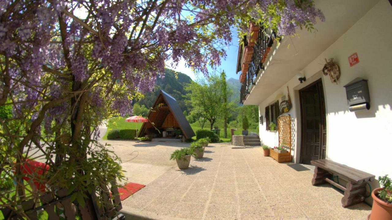 Apartma Bel Zaga Dış mekan fotoğraf